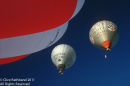 Hot Air Balloons - Up, Up and Away