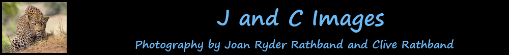 J and C IMAGES - Joan Ryder and Clive Rathband